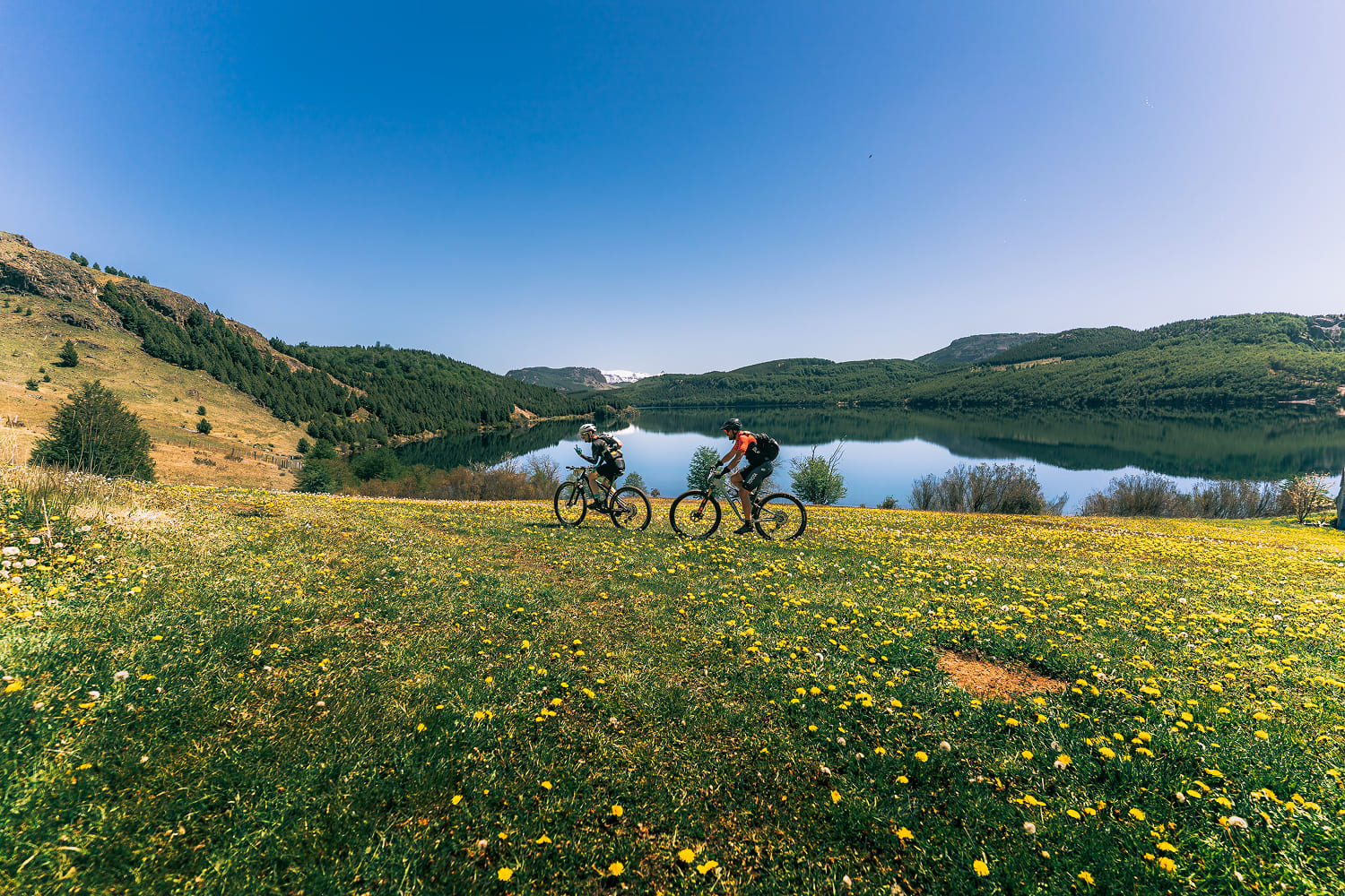 Ciclistas recorriendo Titan Forest Patagonia